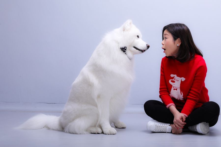 一位女士驚訝地看著一隻毛茸茸的大白狗，兩人都坐在灰色的地板上。