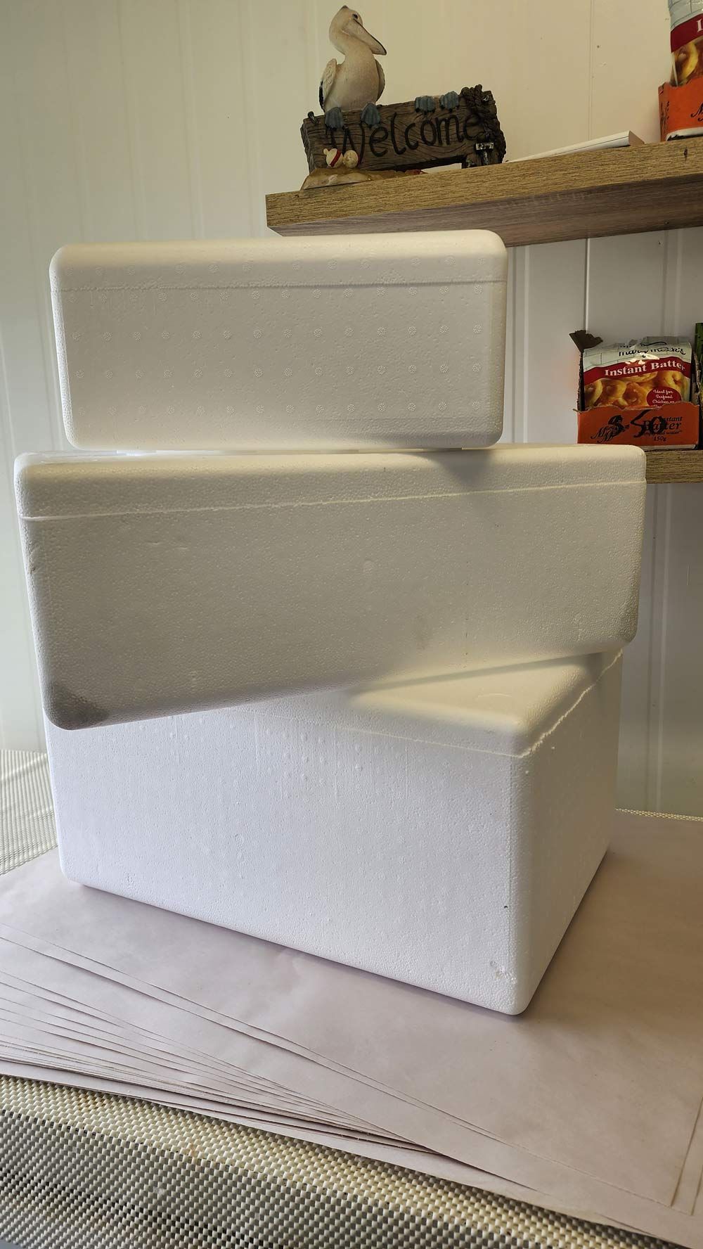 3 Reusable Cold Chain Eskies — Fresh, Locally Caught Seafood in Portsmith, QLD