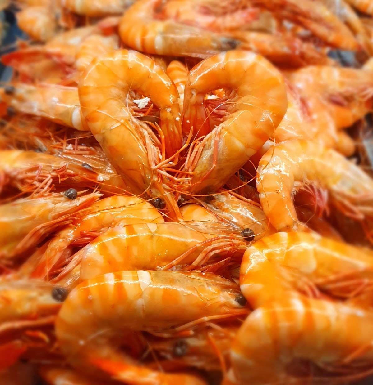 Cooked Giant Tiger Prawns — Local Seafood Shop in Portsmith, QLD