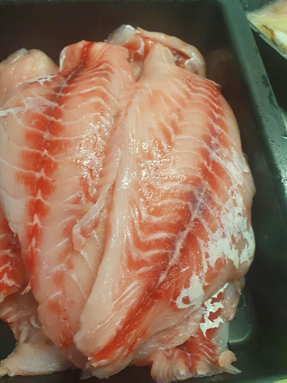 Large Mouth Nannygai inside a green container— Seafood Wholesale in Portsmith, QLD