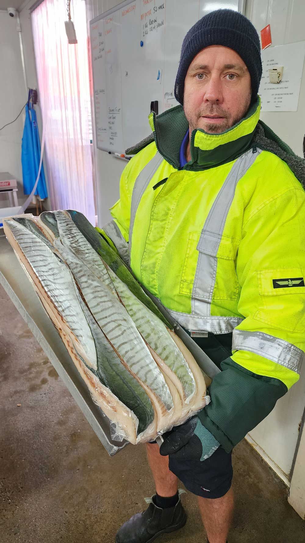 Man holding Spanish Mackerel — Seafood Wholesale in Portsmith, QLD