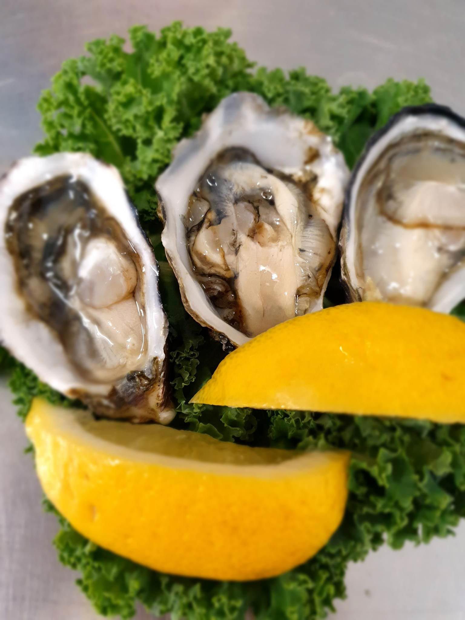 Oysters