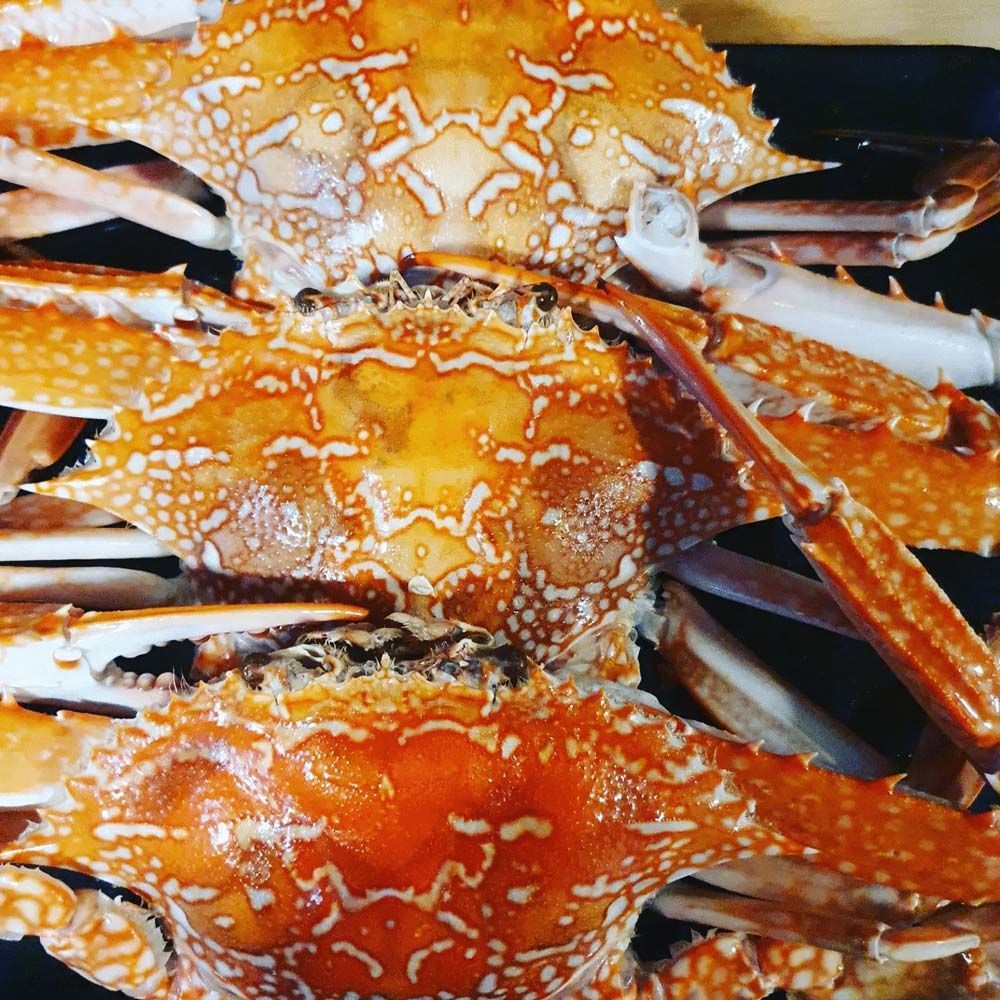 Delicious Sand Crab — Fresh, Locally Caught Seafood in Portsmith, QLD