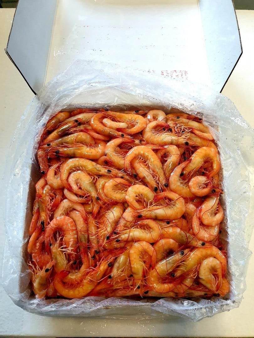 Prawns packed in a box — Seafood Wholesale in Portsmith, QLD