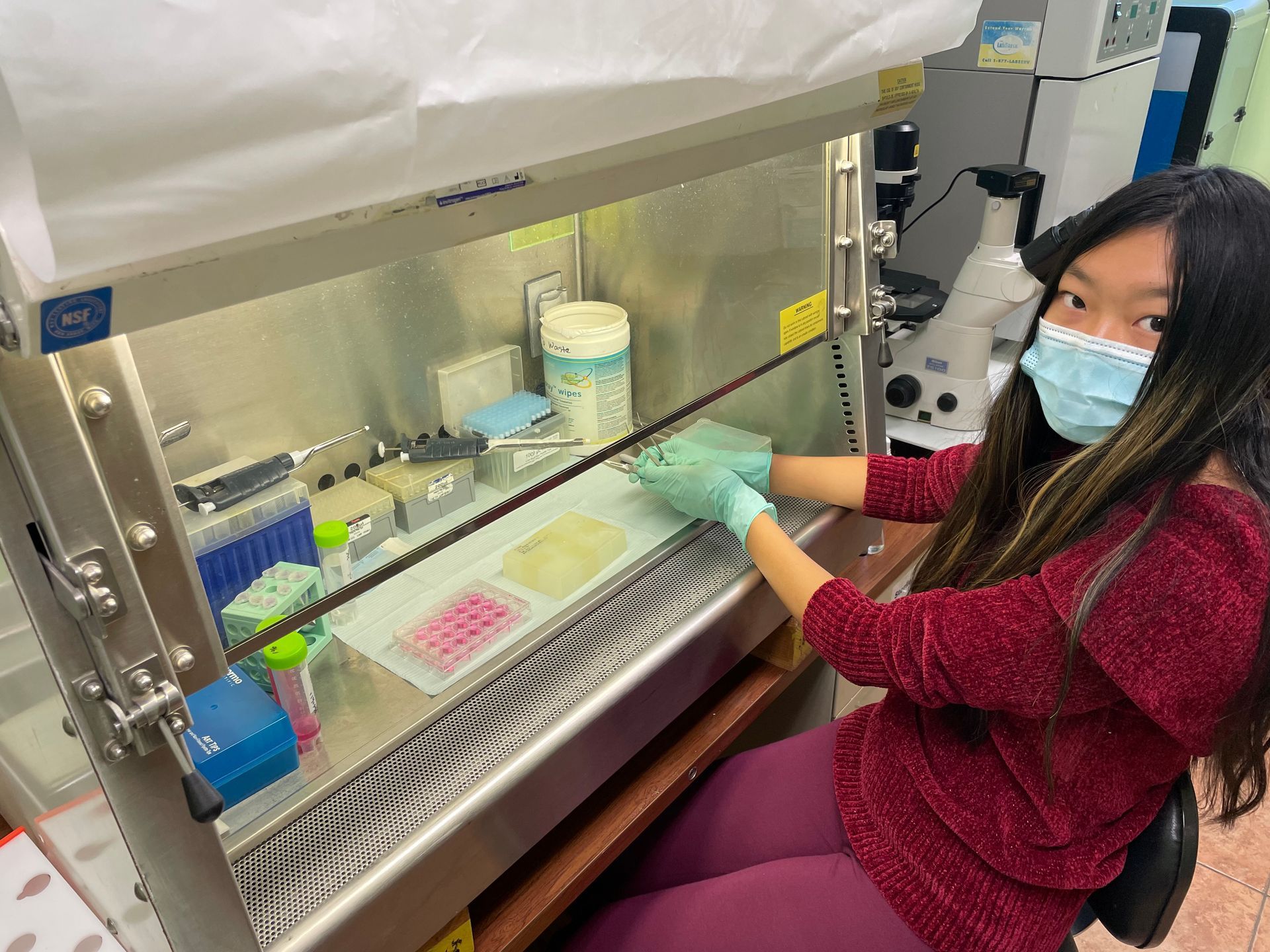 Woman in lab coat and mask working in a biosafety cabinet, surrounded by lab equipment.