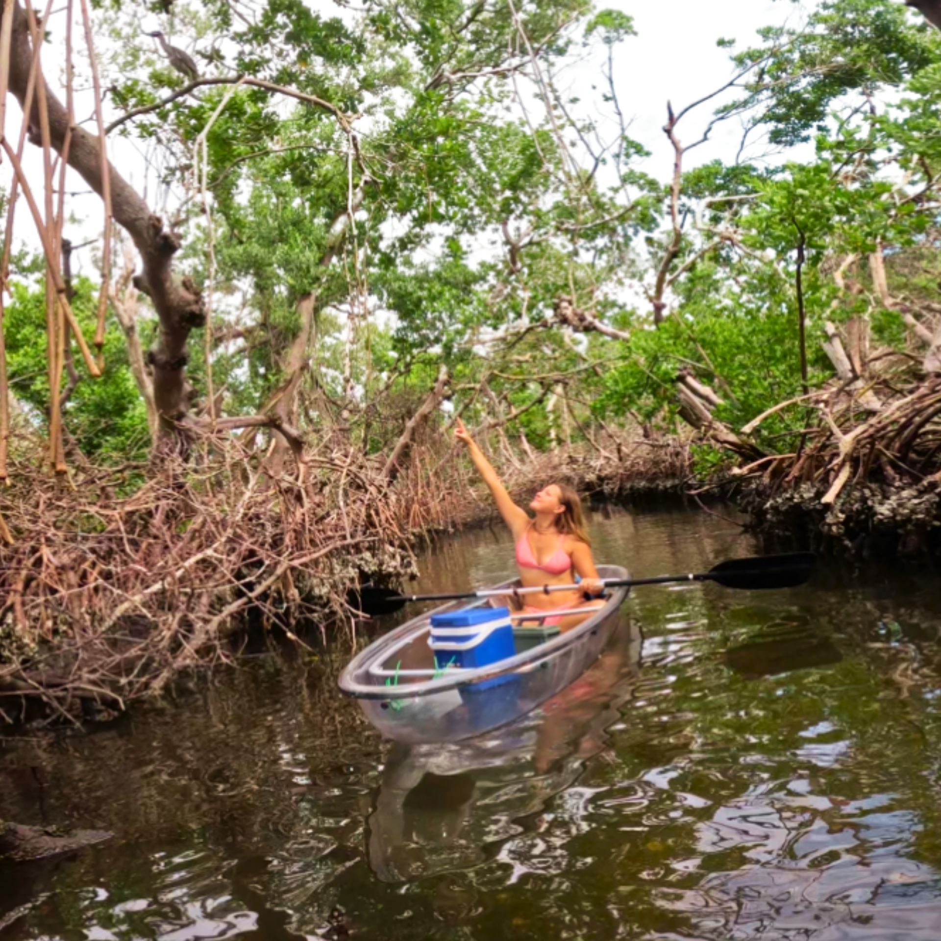 Guy kayaking in Miami Florida near a reef and mangroves.