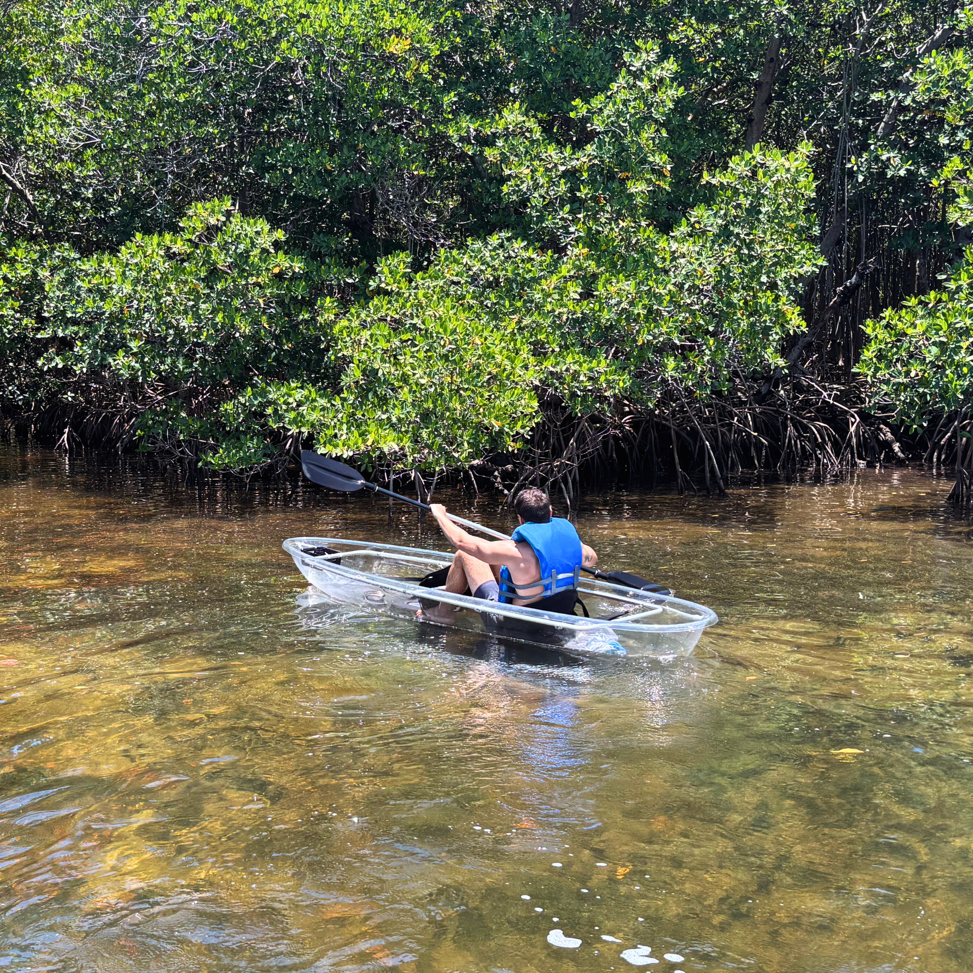 Guy kayaking in Miami Florida near a reef and mangroves.