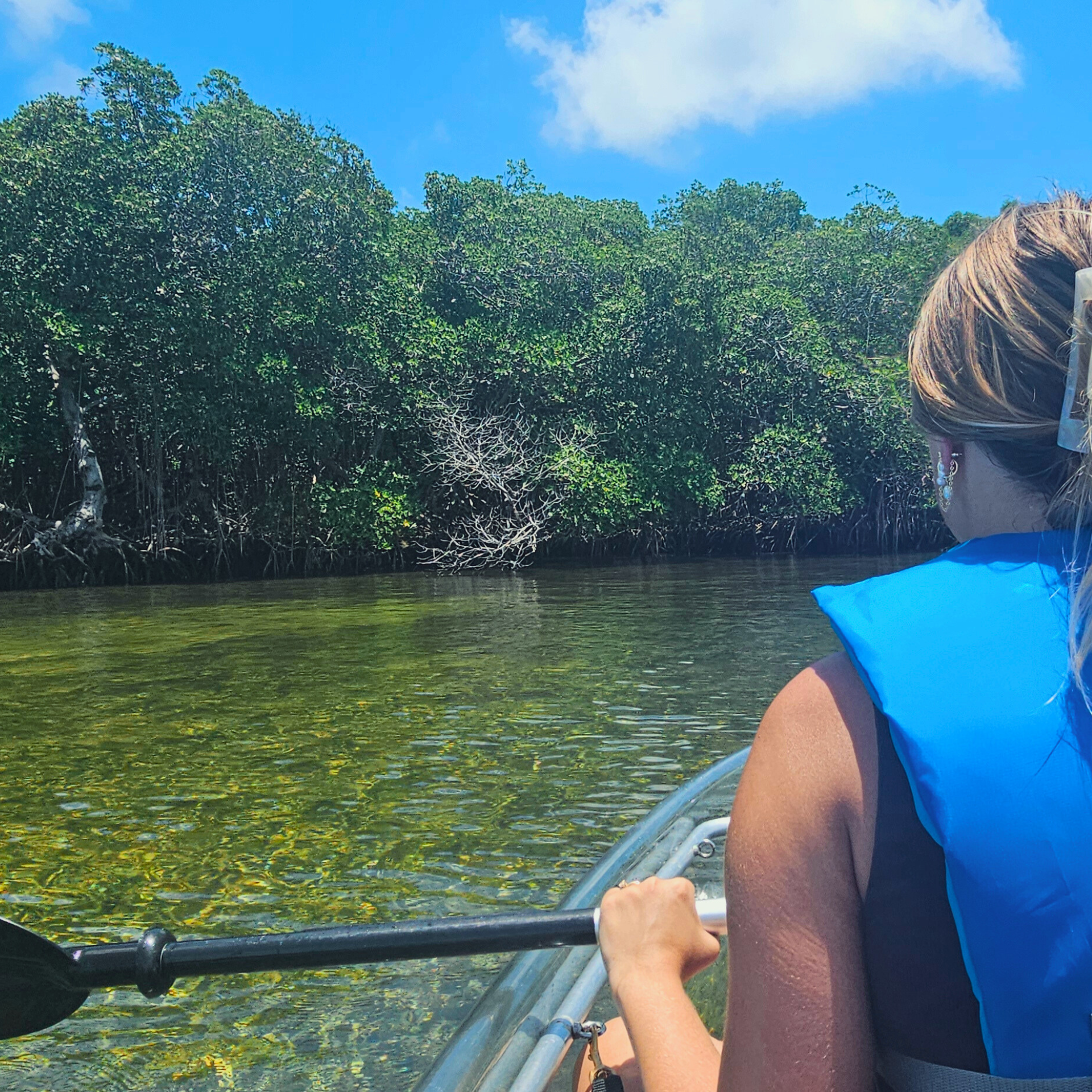 Girl looking at pretty clear water from her clear kayak with mangrove trees in the background.