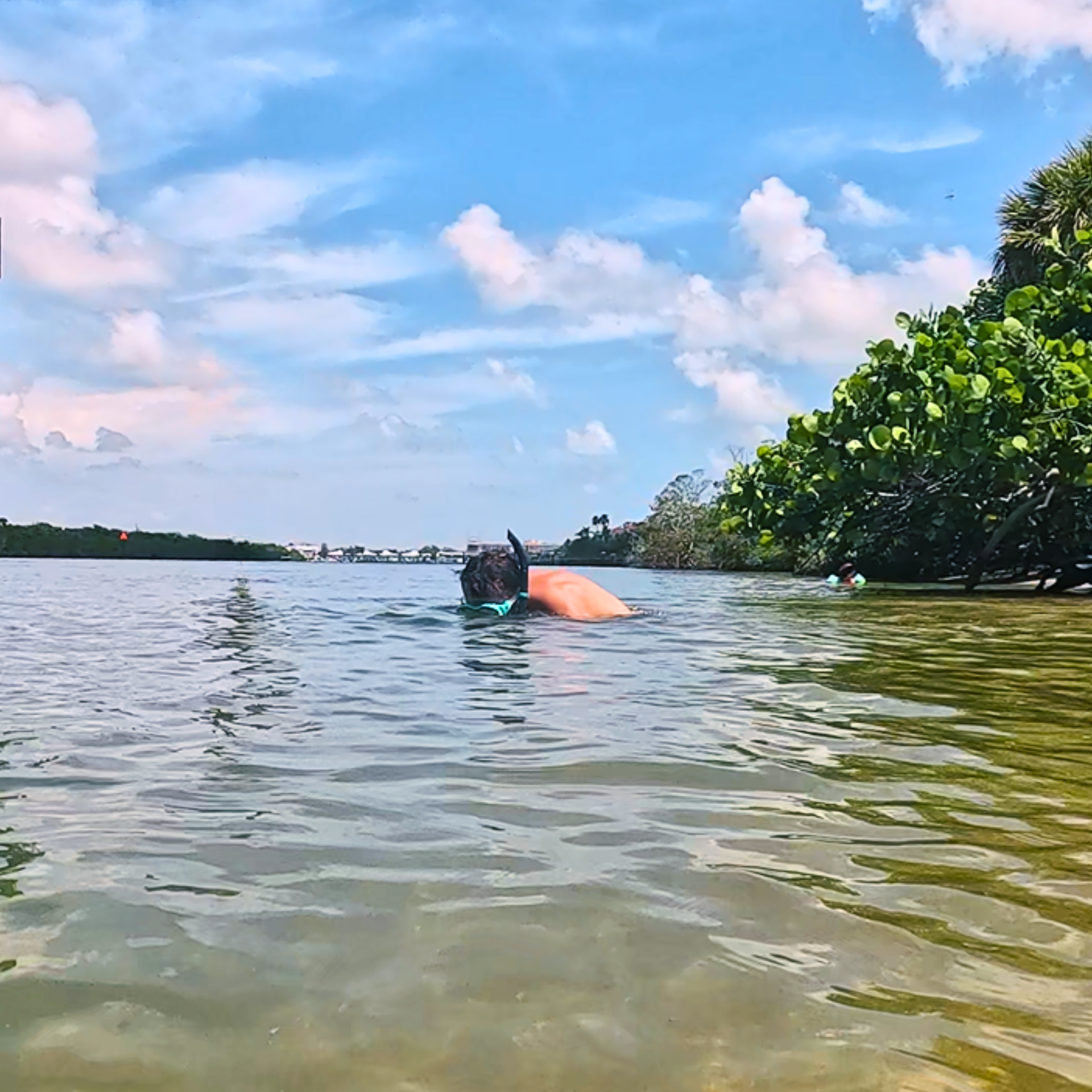 Snorkeling near the North Jetty, Nokomis Florida.