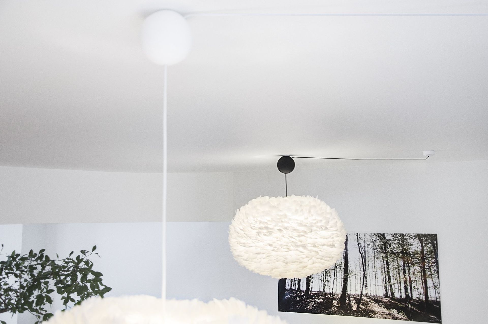 A ceiling with a picture of trees on it
