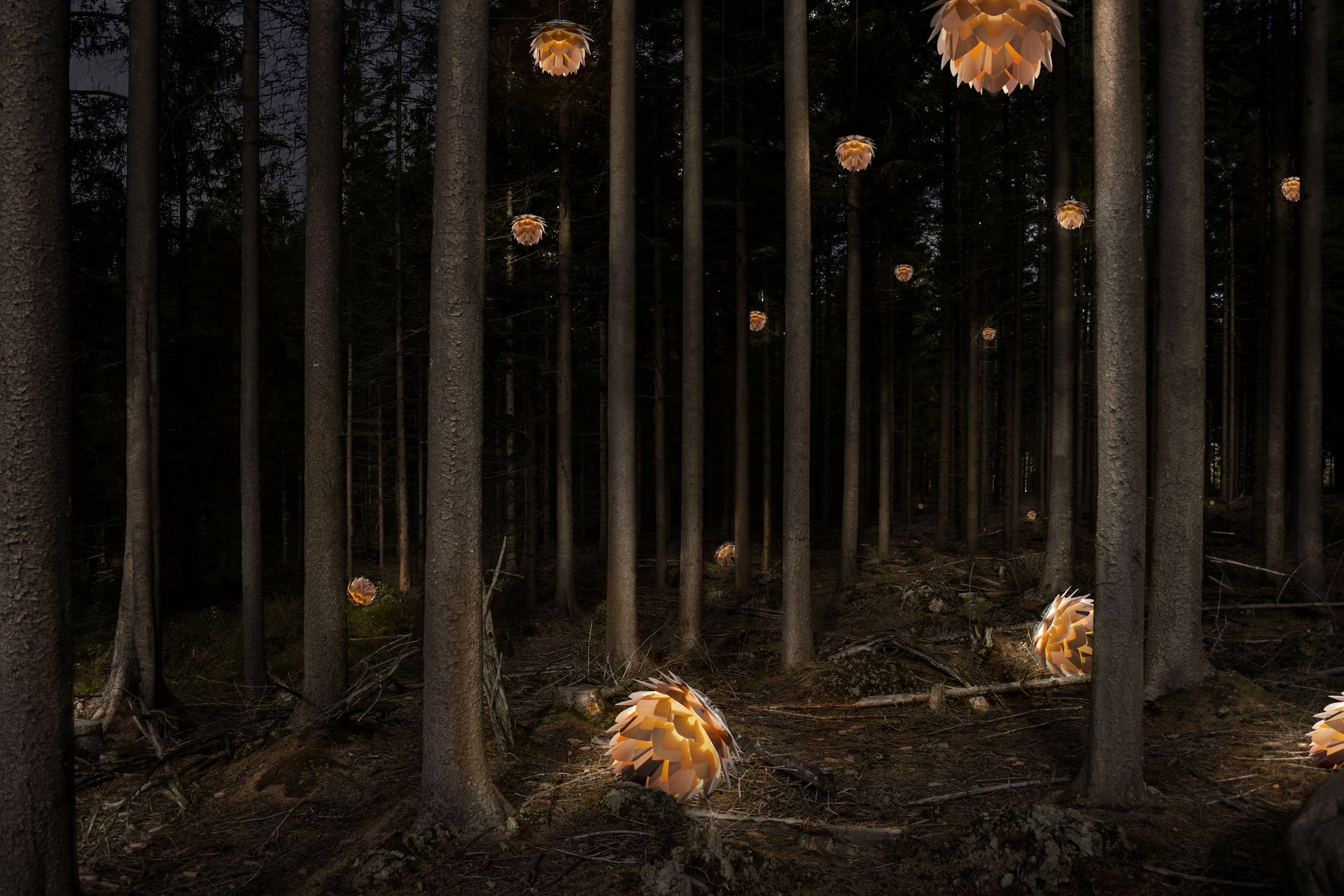 There are many lights hanging from the trees in the forest.