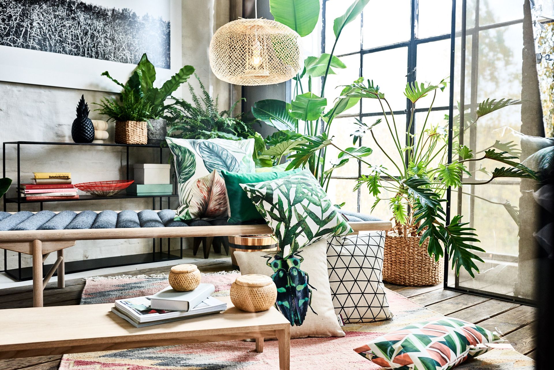A living room filled with furniture and plants.