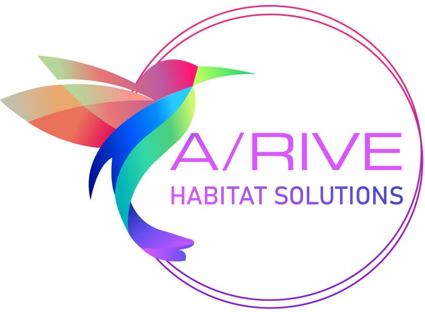 Logo A/Rive Solutions