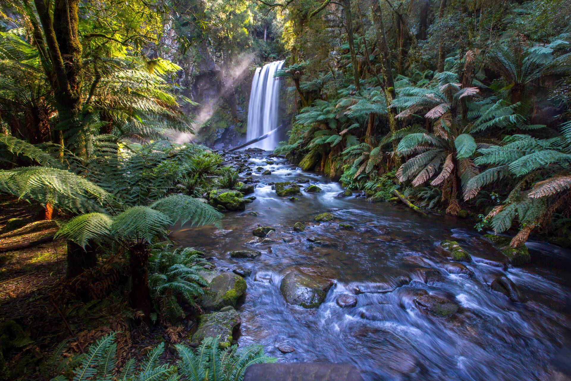 Waterfall in the Australian jungle