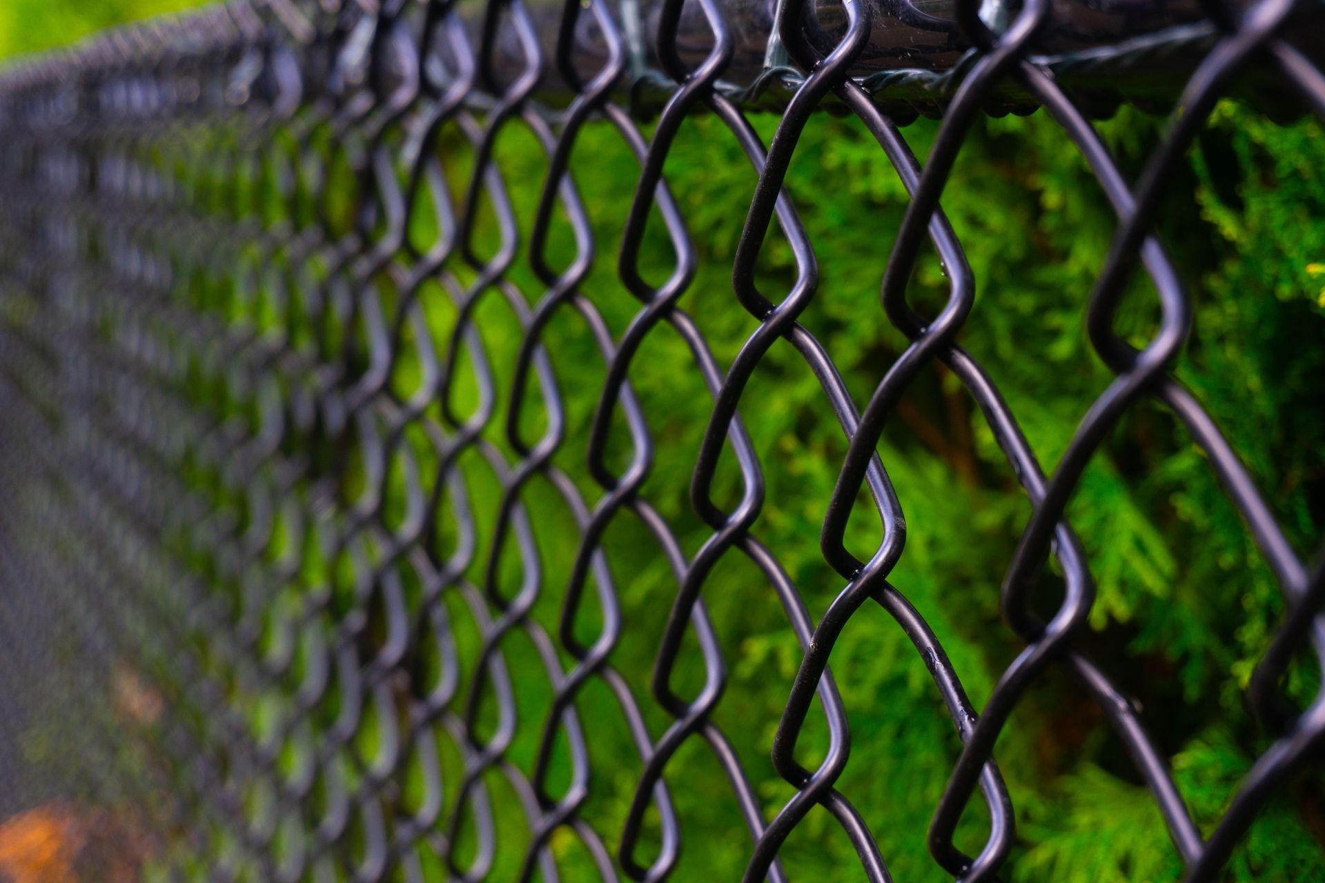 A close up of a chain link fence with trees in the background.