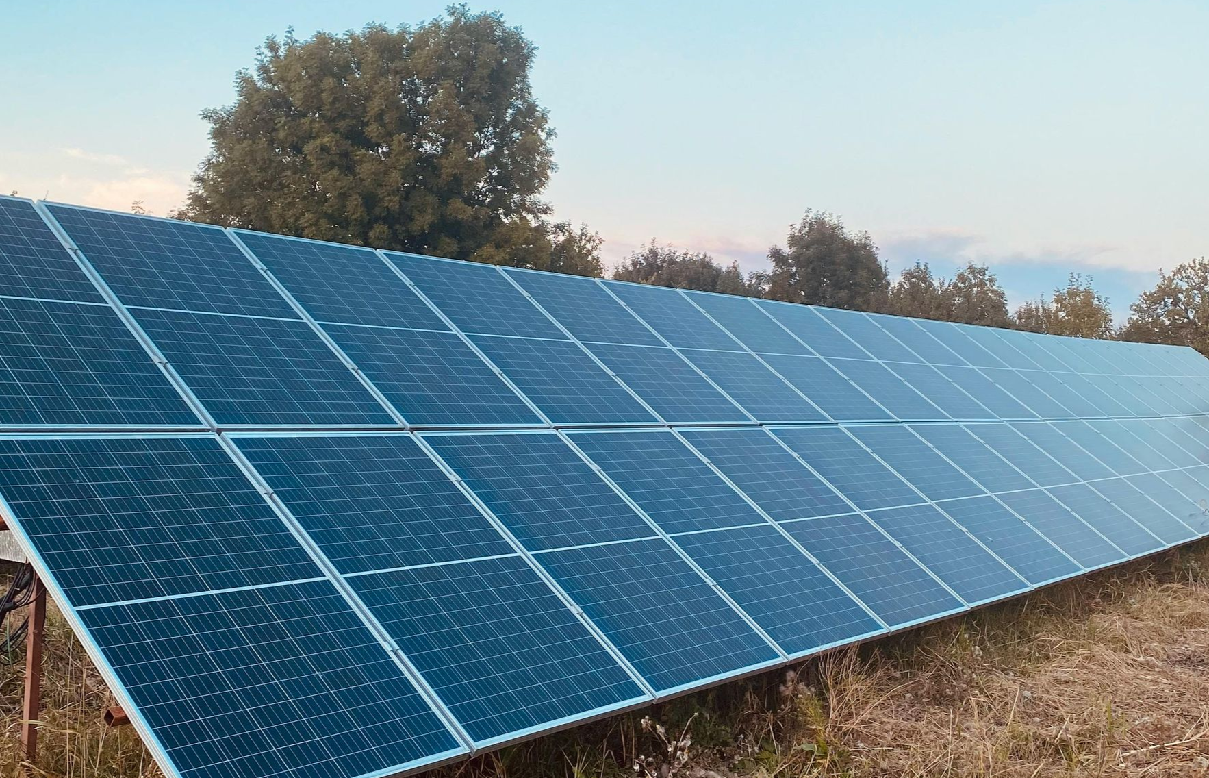 Solar panels in a field, angled toward the sky, with trees and a light blue sky in the background.