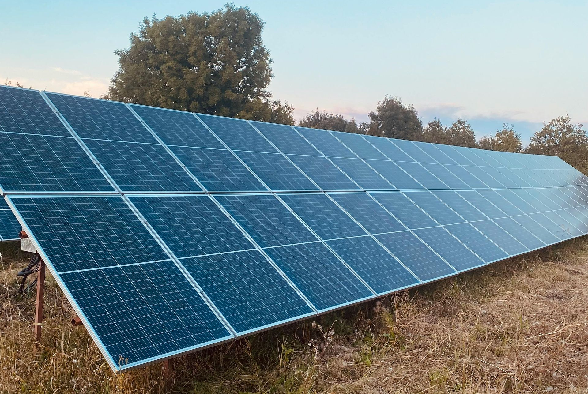 Solar panels in a field, angled toward the sky, with trees in the background.