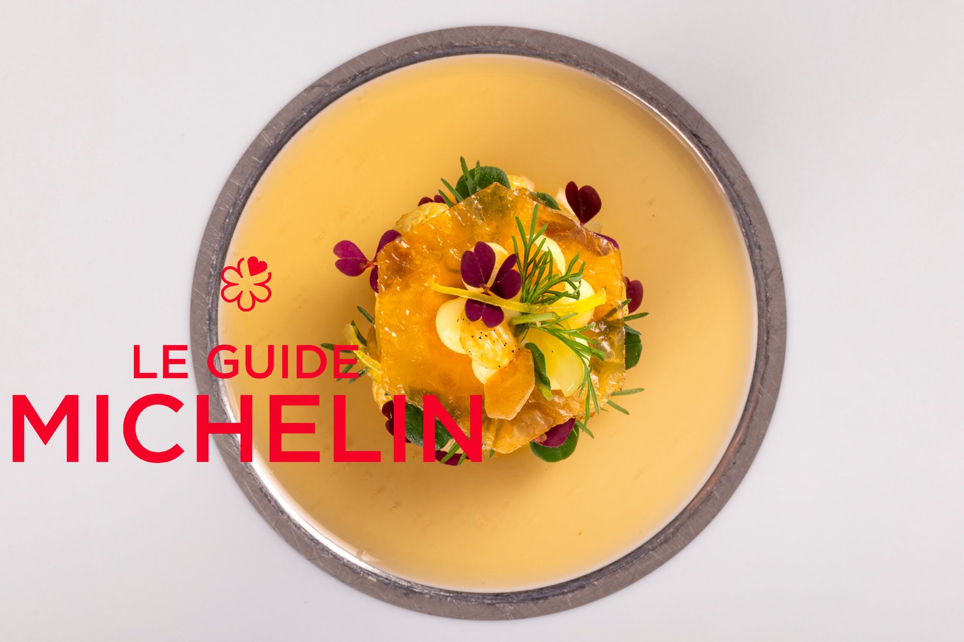 A plate of food with the words le guide michelin written on it