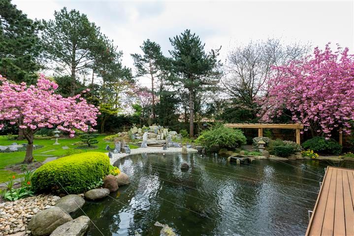 There is a pond in the middle of a garden with pink flowers.