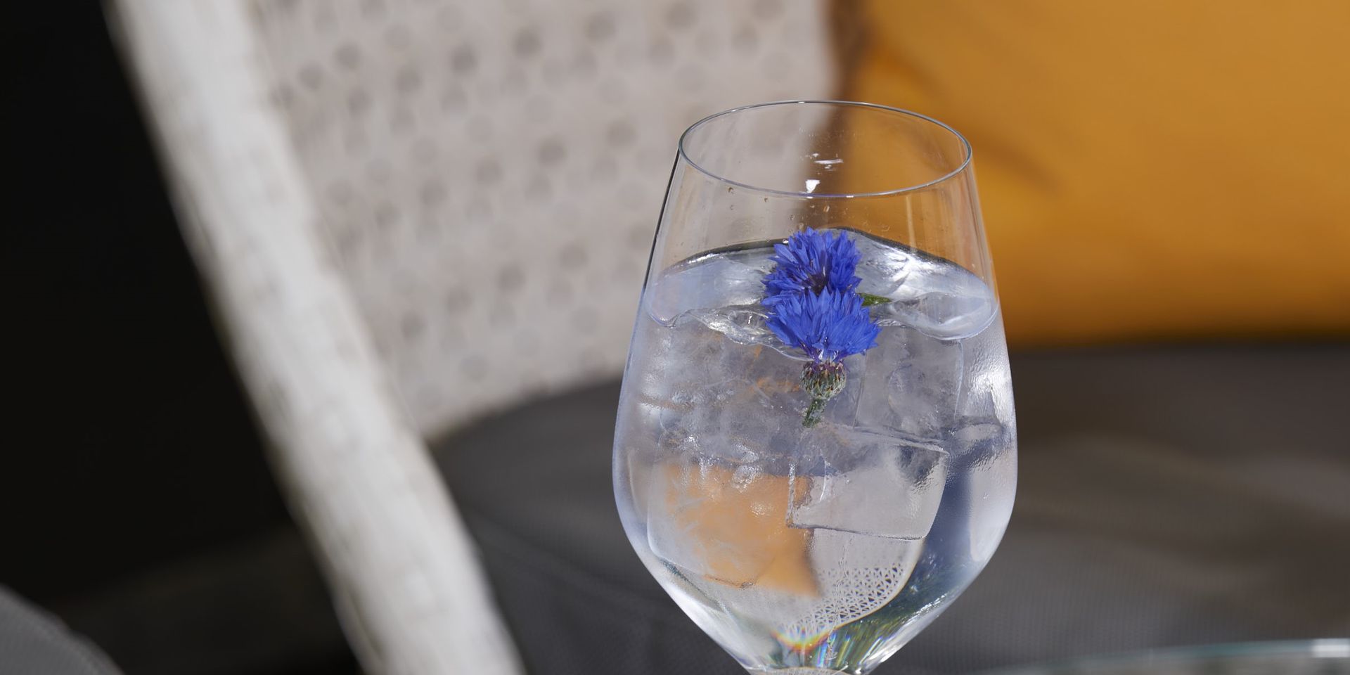 A glass of water with a blue flower in it is on a table.