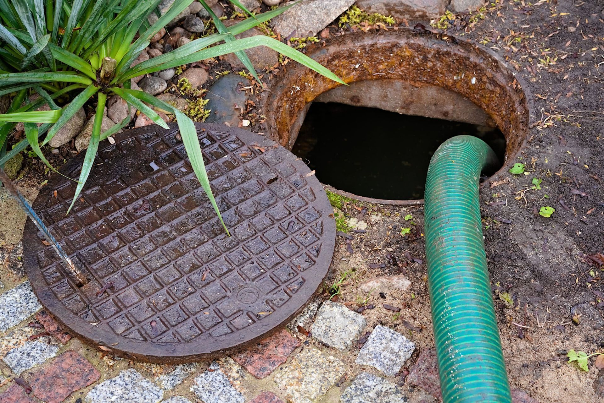 Open manhole with a green hose inserted beside a metal cover on wet pavement