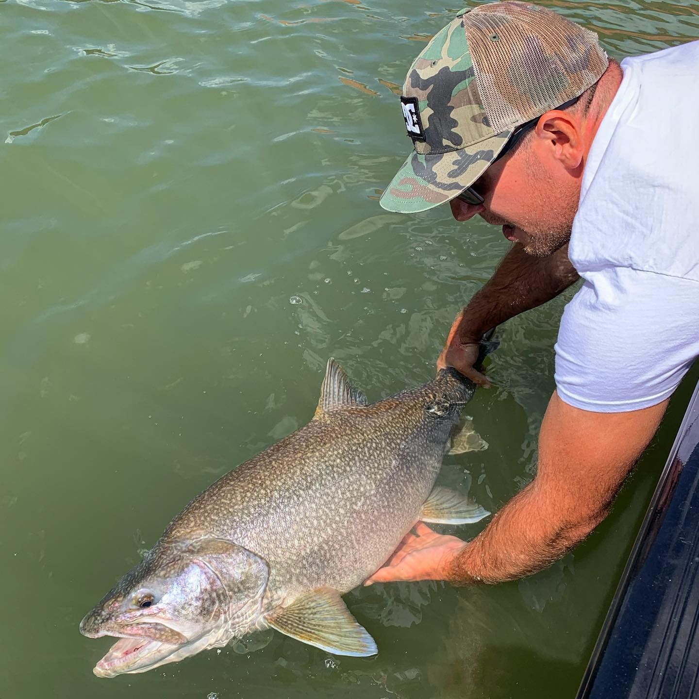 A man is holding a large fish in his hands in the water.