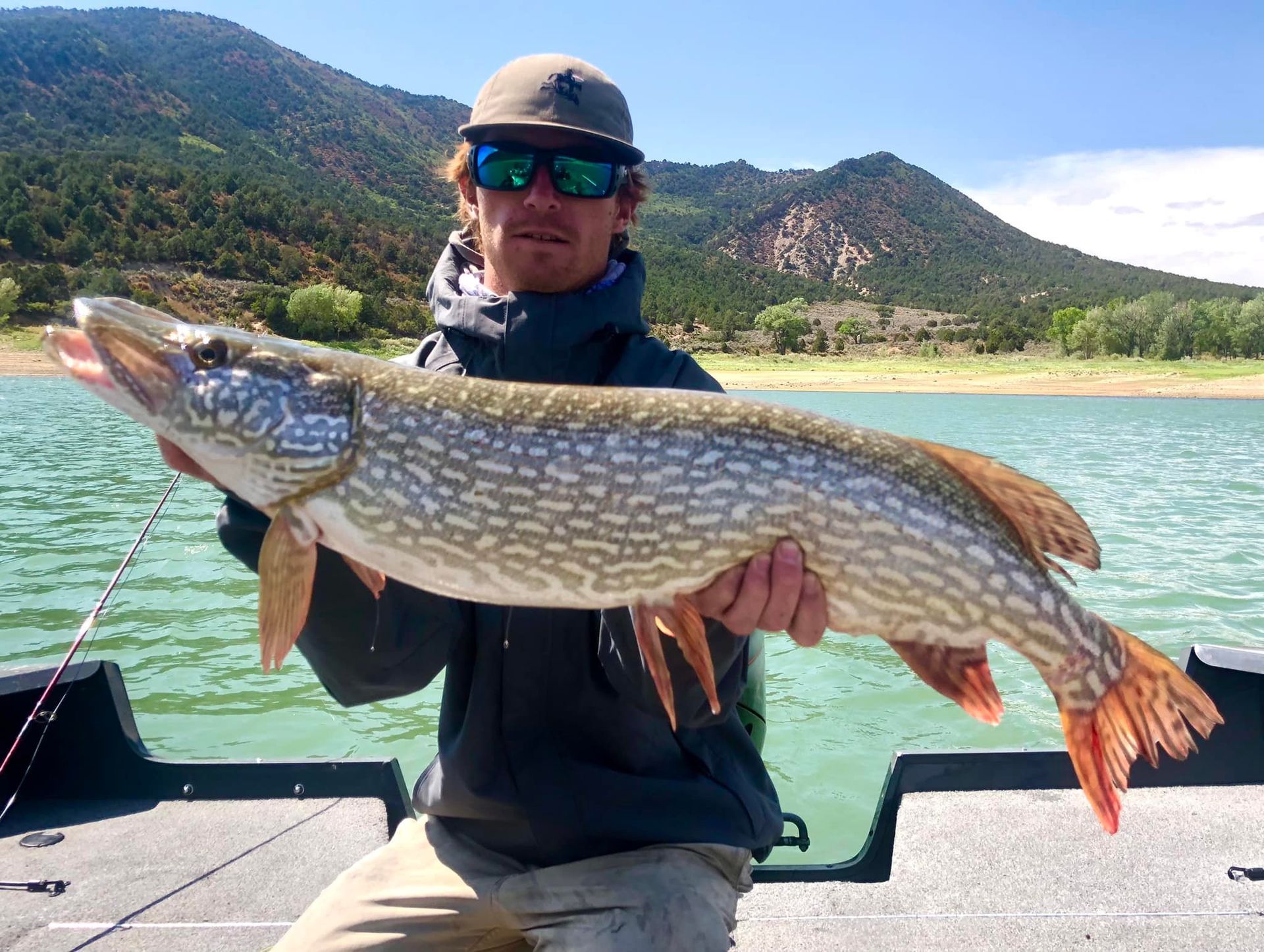 A man is sitting on a boat holding a large fish.