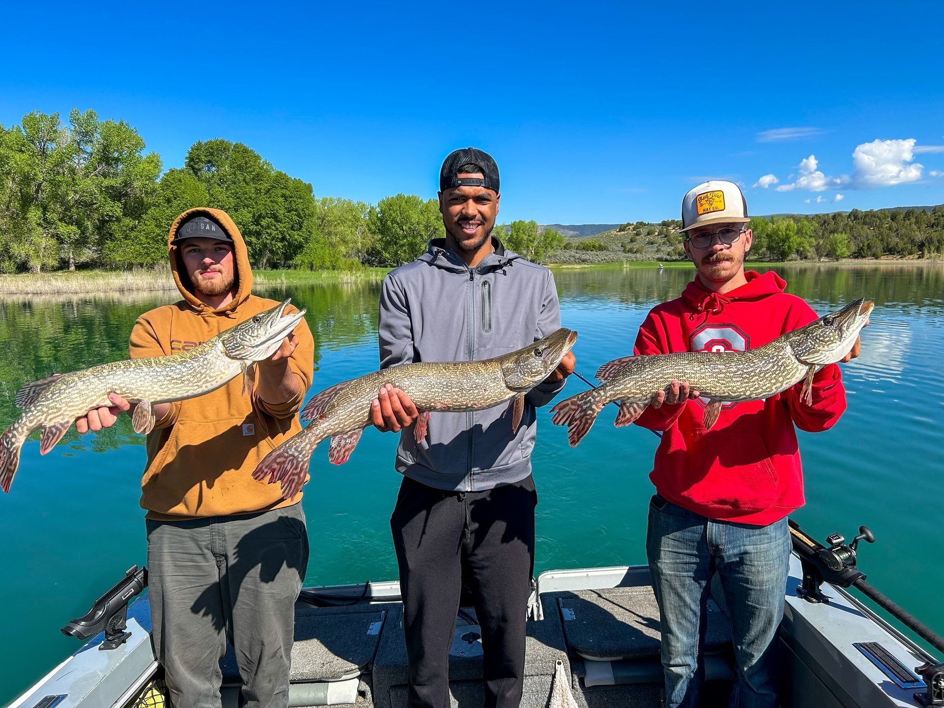 Three men are standing on a boat holding fish.