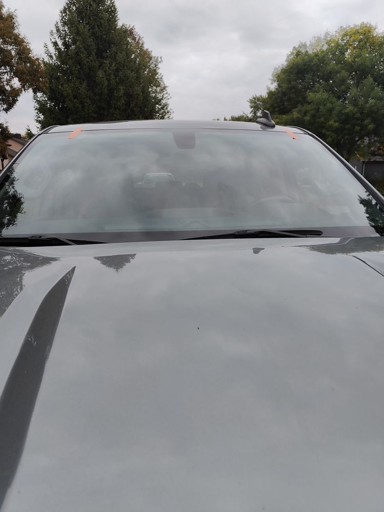 A close up of the hood of a car with trees in the background.