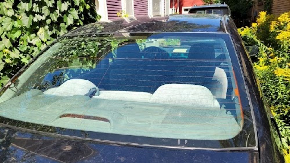 A black car is parked in a driveway next to a bush.
