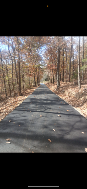 Paved road through a forest with trees on both sides and leaves on the ground.