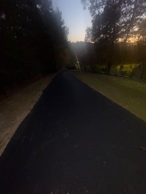 Dark asphalt path through a forest at dusk; light sky visible at the end of the path.