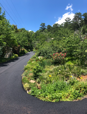 Asphalt road curves along a lush garden with diverse green plants and colorful flowers, leading uphill to trees under a blue sky.