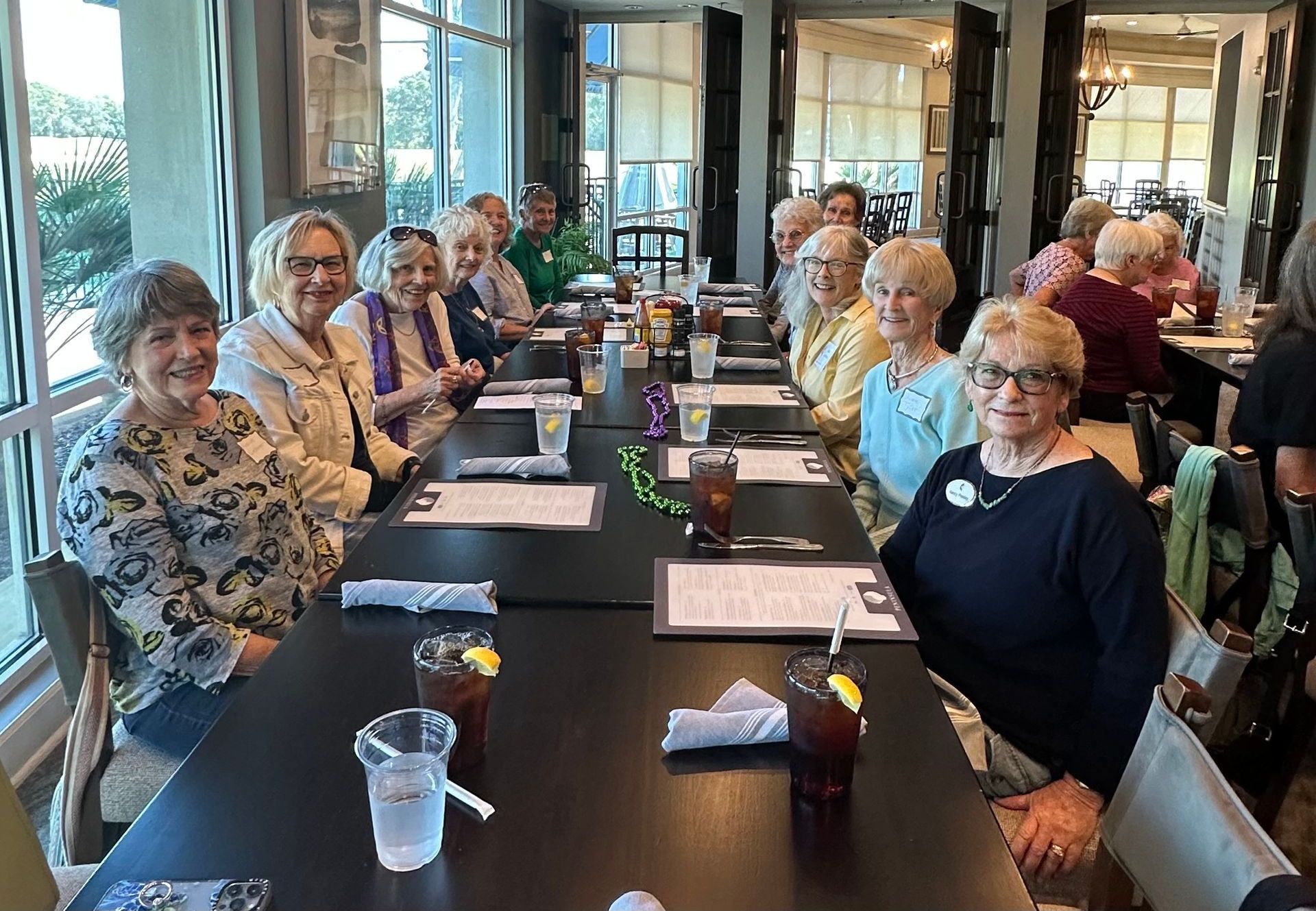 Group of women smiling at a table in a restaurant; windows behind them.