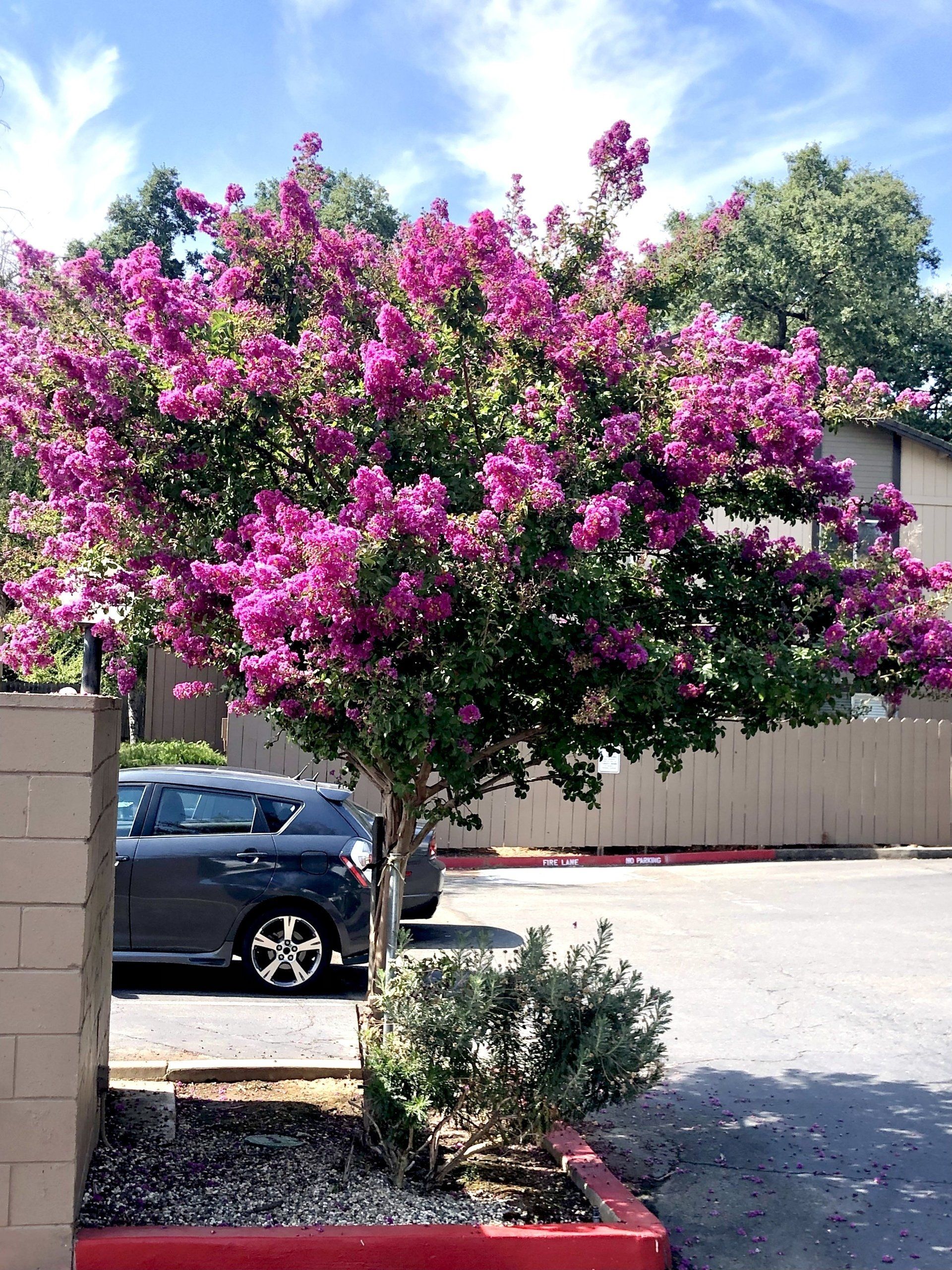 Van Alstine exterior