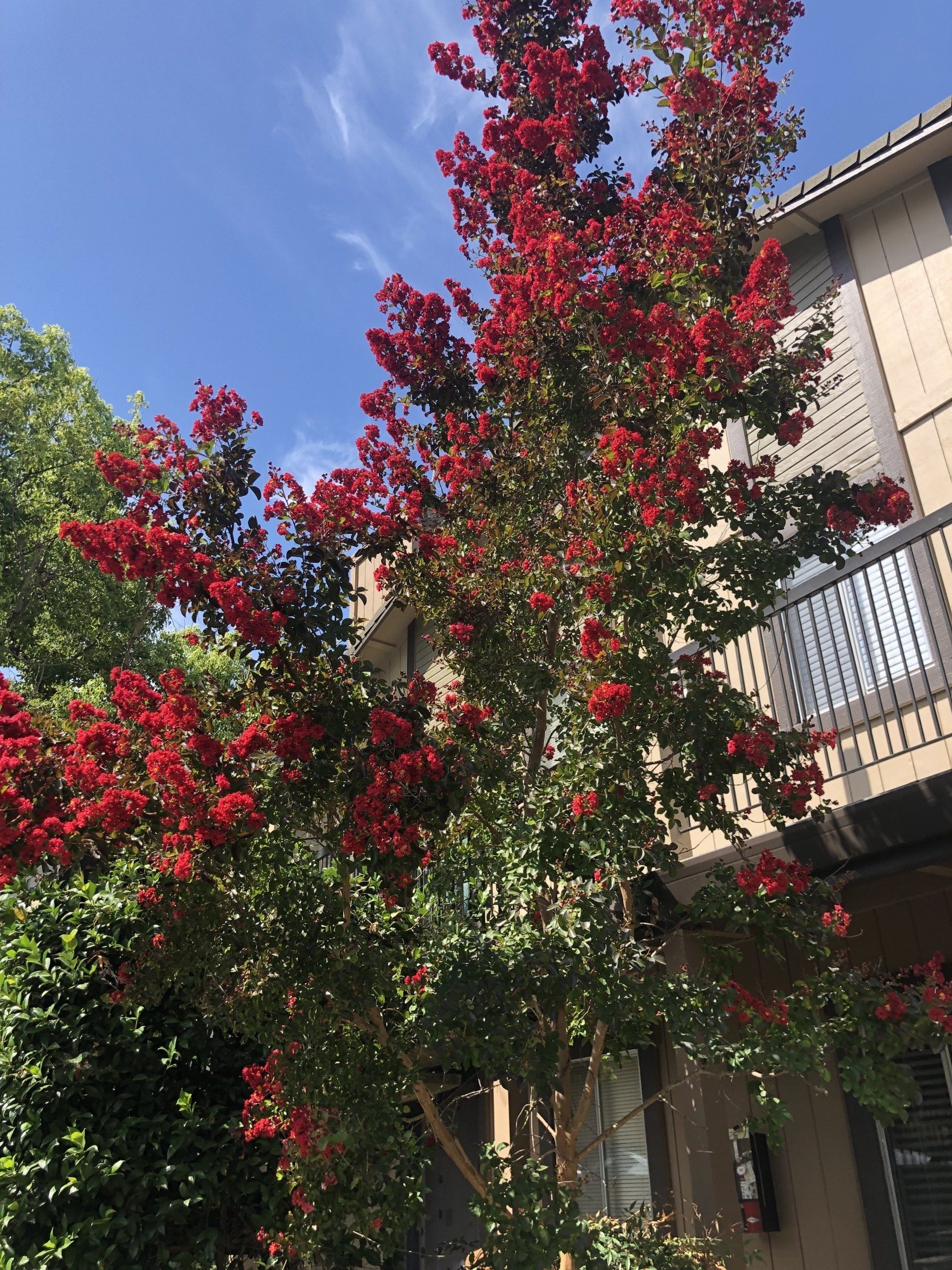 Van Alstine exterior