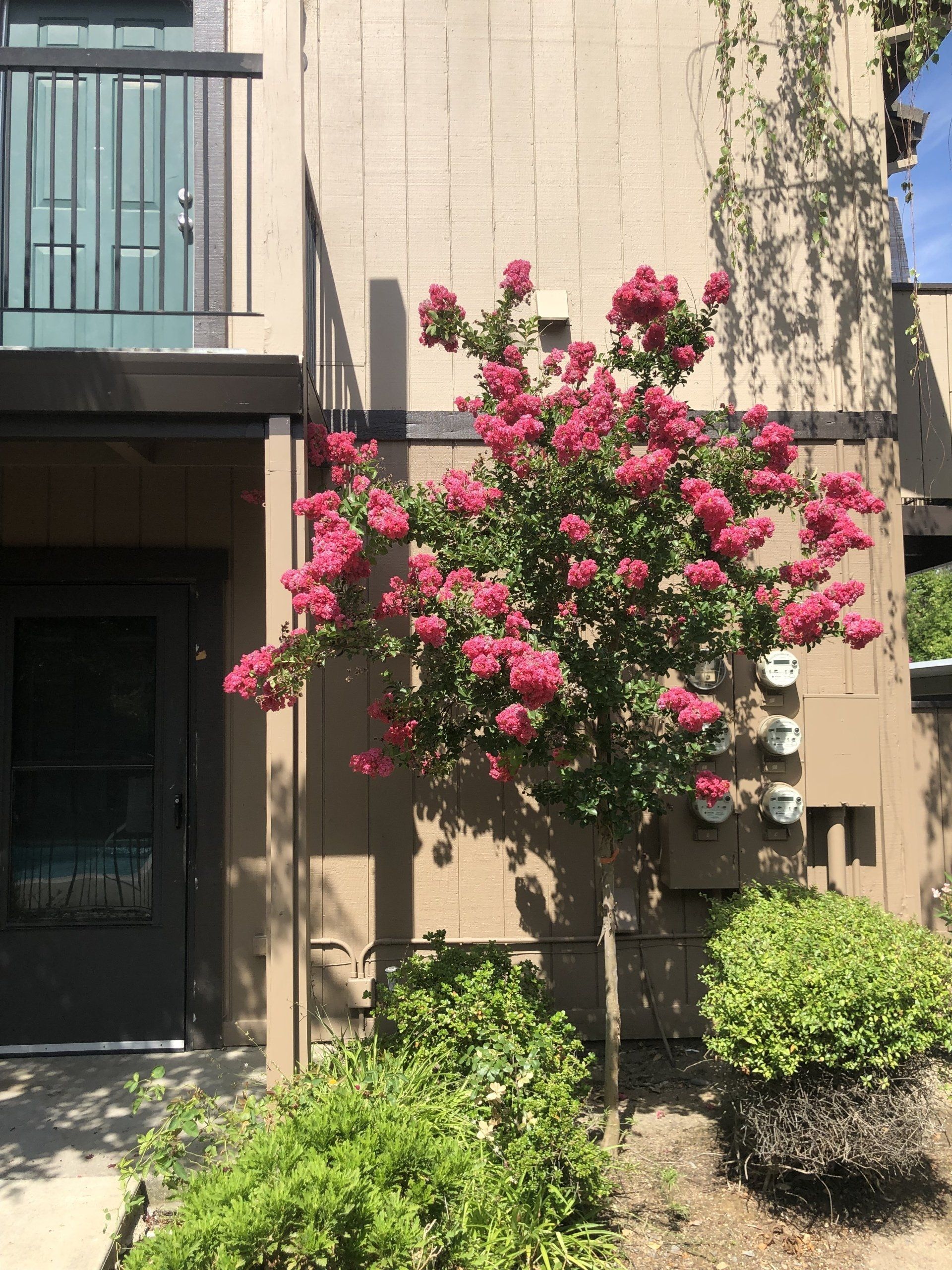 Van Alstine exterior