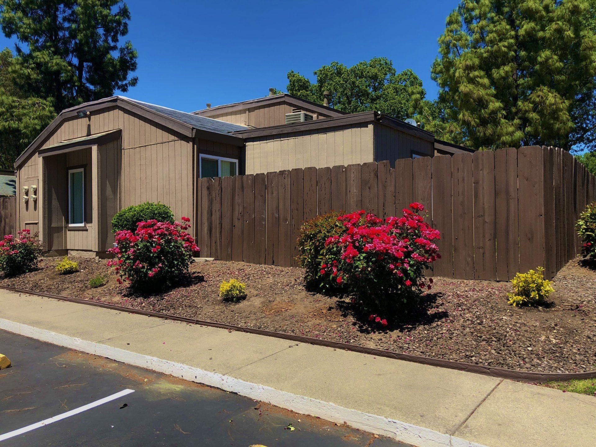 Redwoods at Laurel Hills exterior landscape