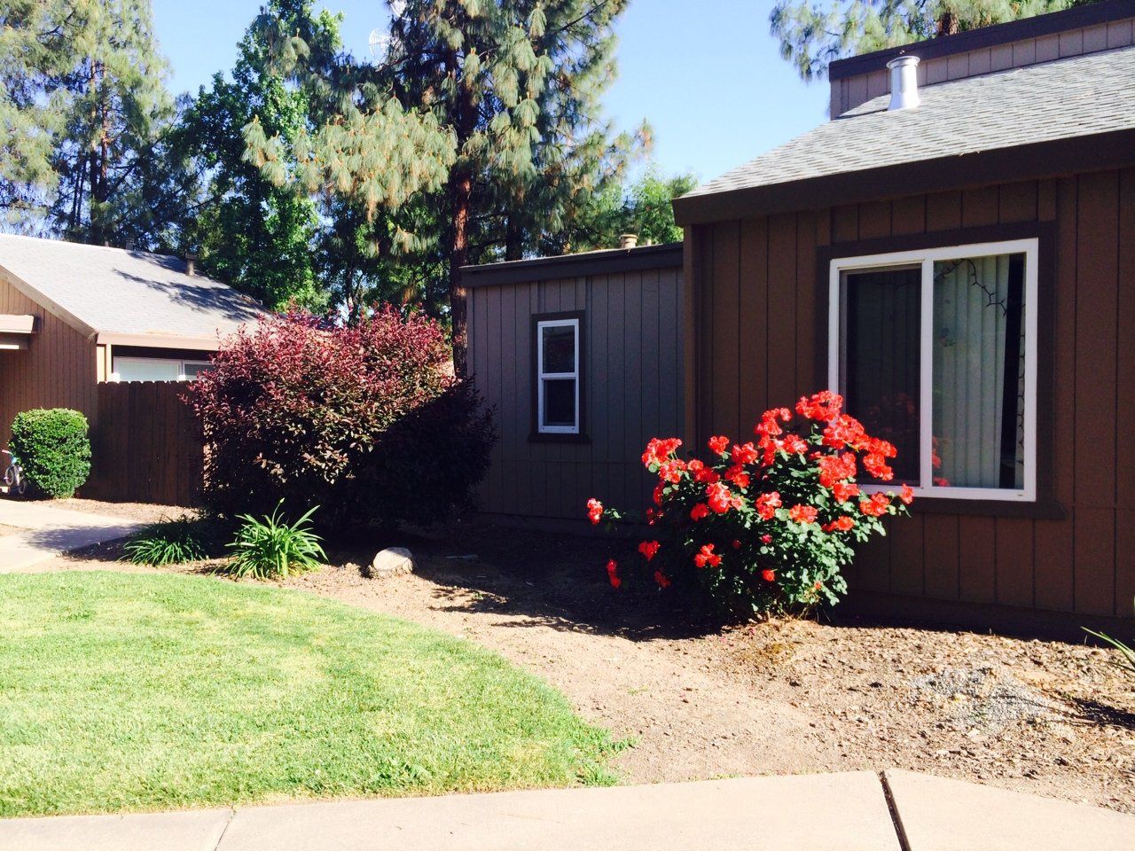 Redwoods at Laurel Hills exterior