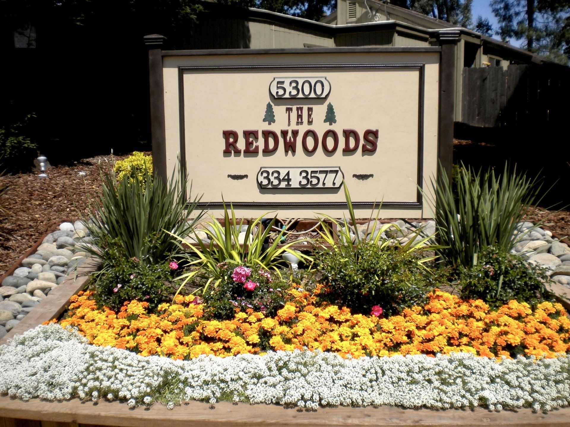 The Redwoods at  Laurel Hills