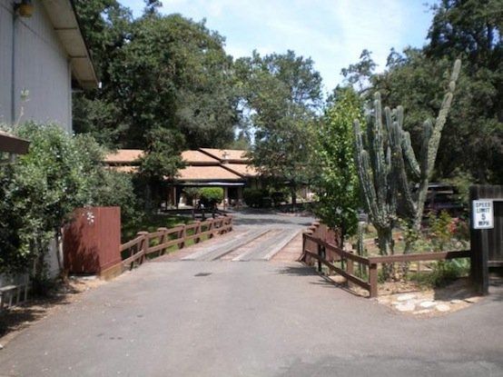 Forest Creek exterior