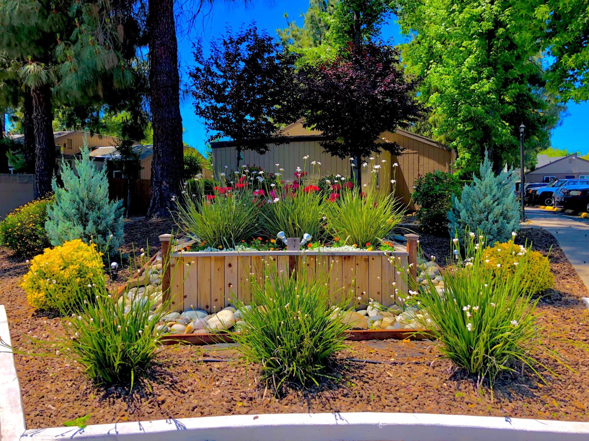 Redwoods at Laurel Hills exterior landscape