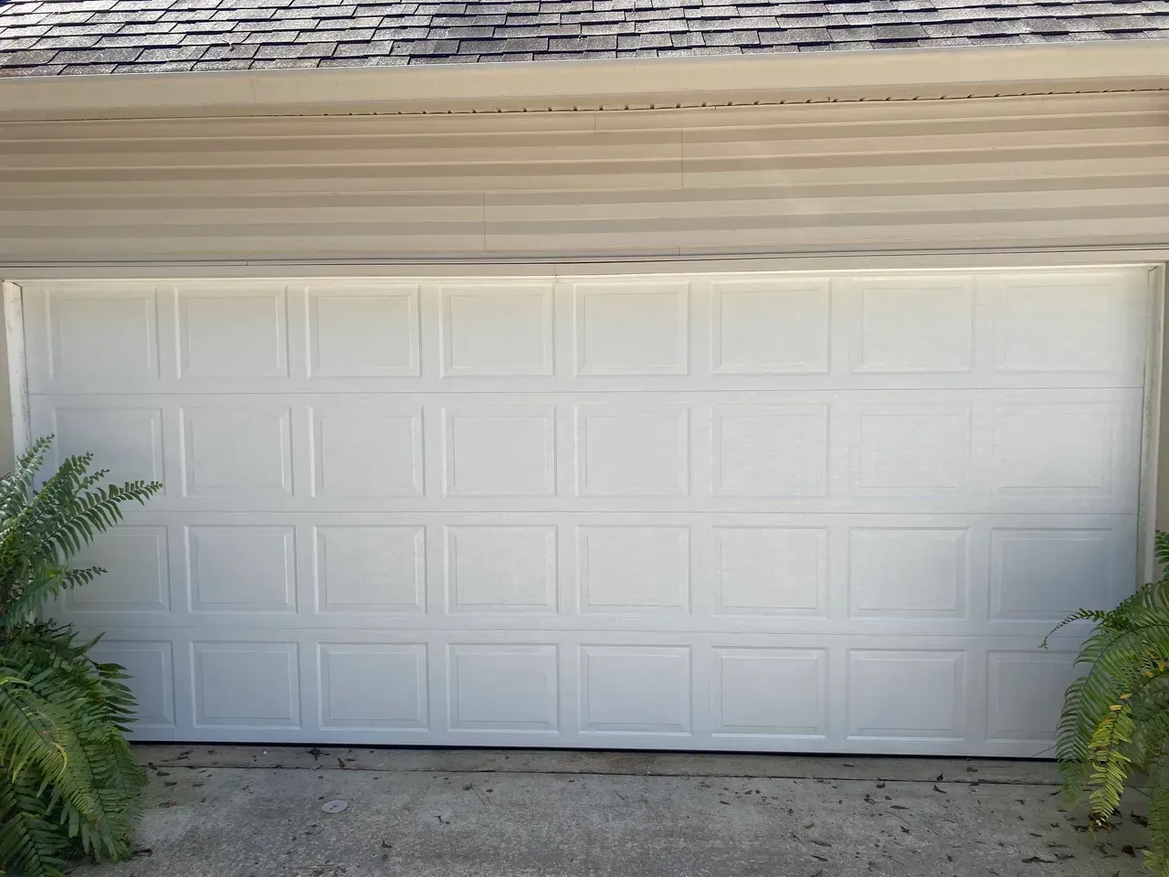 White garage door, closed, with square panel design; ferns flank sides, situated under a tan overhang.