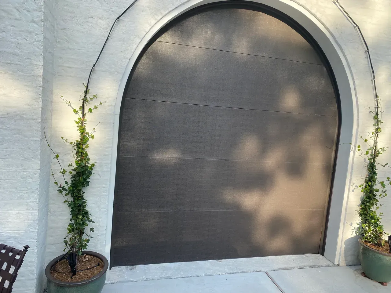 Arched black door with vines climbing on a white wall. Potted plants flank the door.