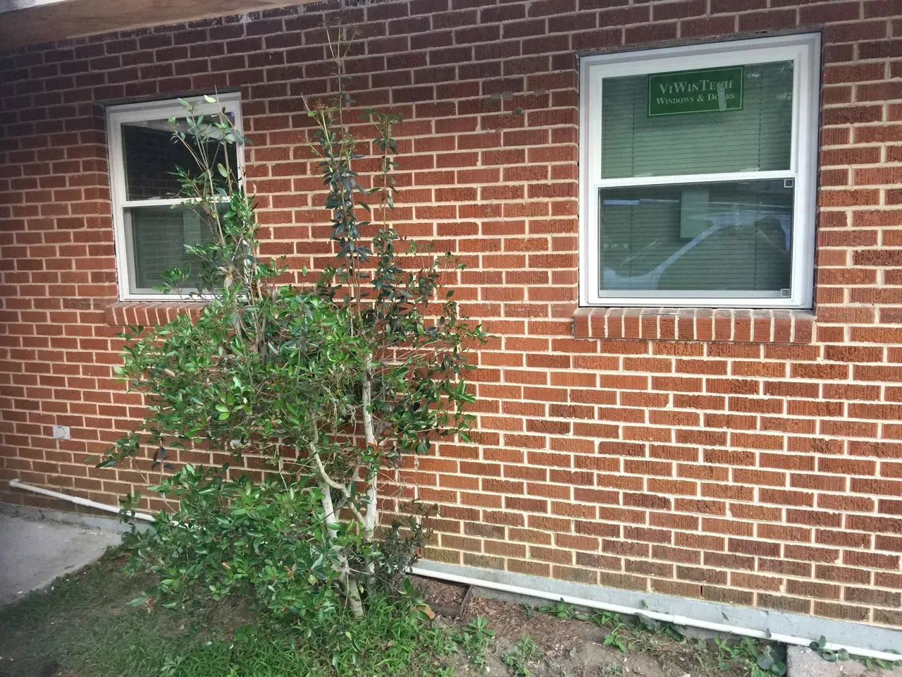 Brick building with two white-framed windows; a small shrub is in the foreground.