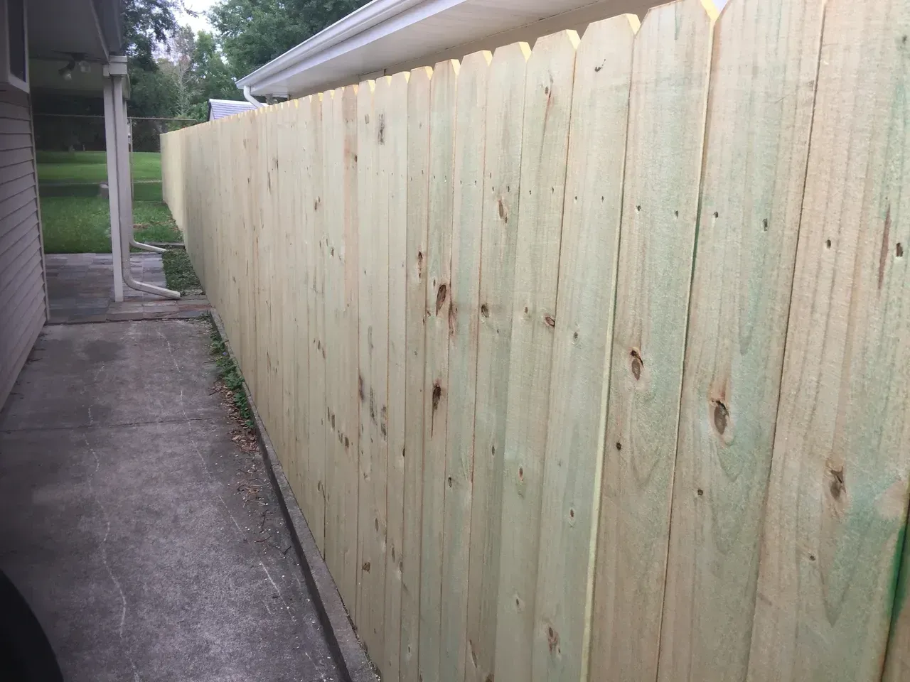 Wooden fence alongside a concrete path next to a house. Greenish wood planks are vertical.