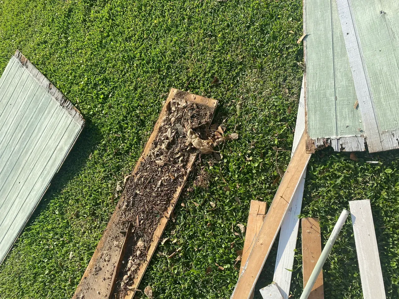 Decomposed wood debris on green grass. Various wood pieces and panels showing rot and damage.