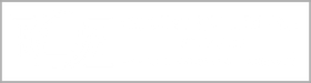 A thin, horizontal white rectangle with a thin dark gray border.