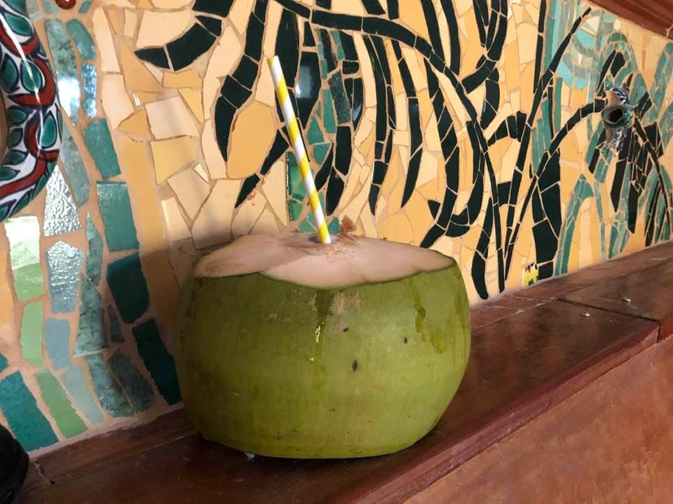 Pina Colada in front of a mosaic wall