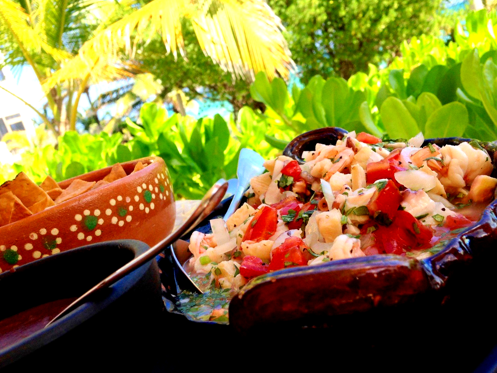 Ceviche on the beach